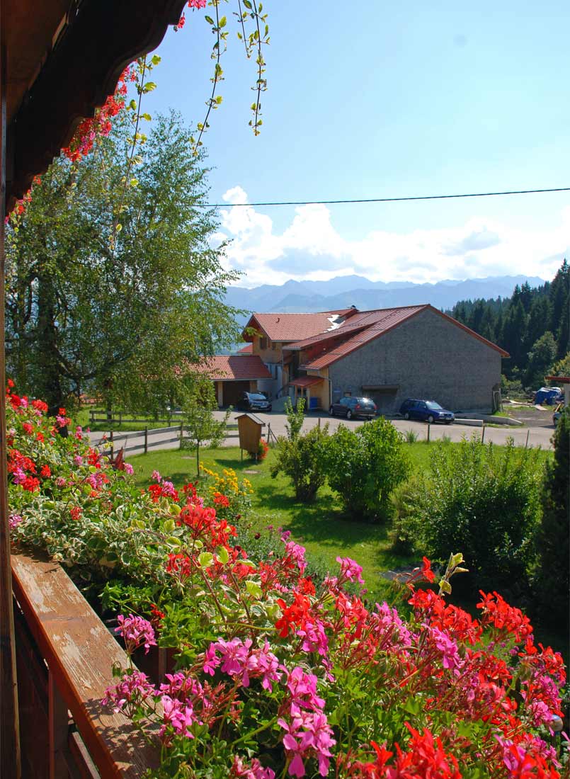 Ausblick vom Balkon