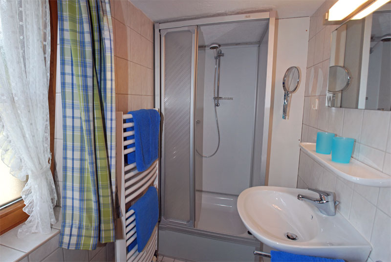 Bad mit Dusche, Wc und Fenster